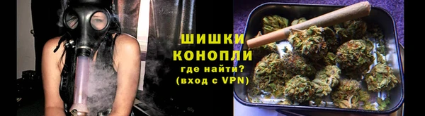 гидра Бородино