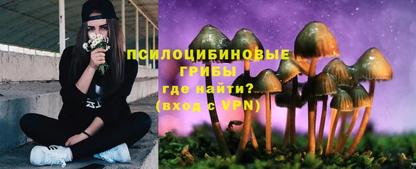 соль курить ск Верея