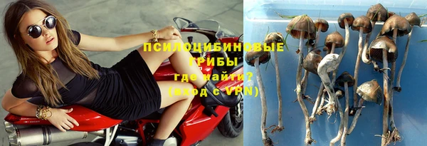 круглые Пересвет